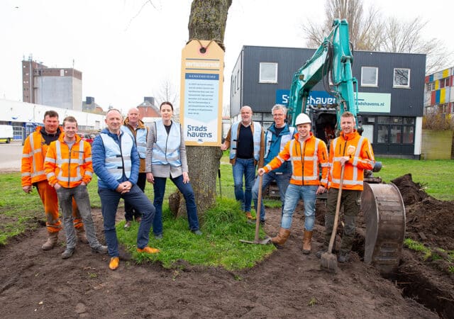 Ruim 40 bomen langs het Damsterdiep verhuizen naar bomenhotel 4