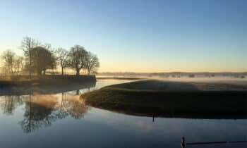 DENBOSCH bosschebroek