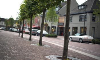 Bomen in verharding kopieren