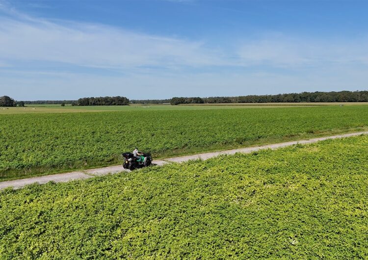 VOLMER FM DRONE
