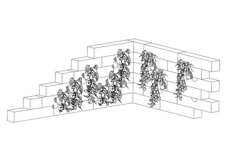 Groenwand Schellevis Schets kopieren