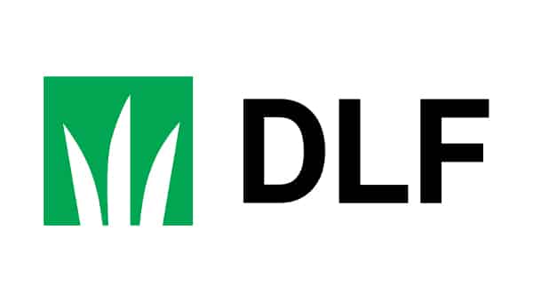 DLF logo