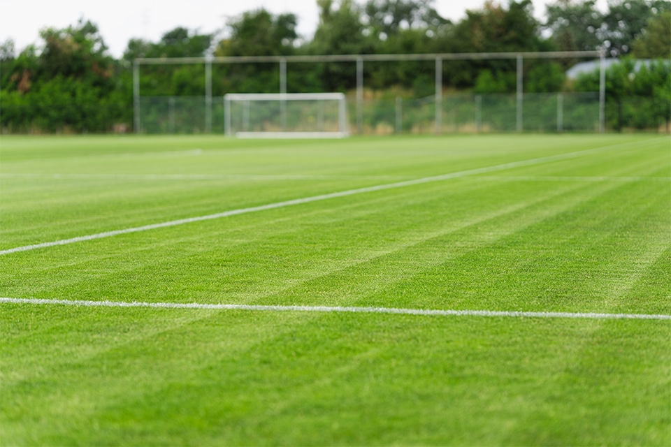 Het 4turf graszaad is door diepere beworteling beter bestand te kopie