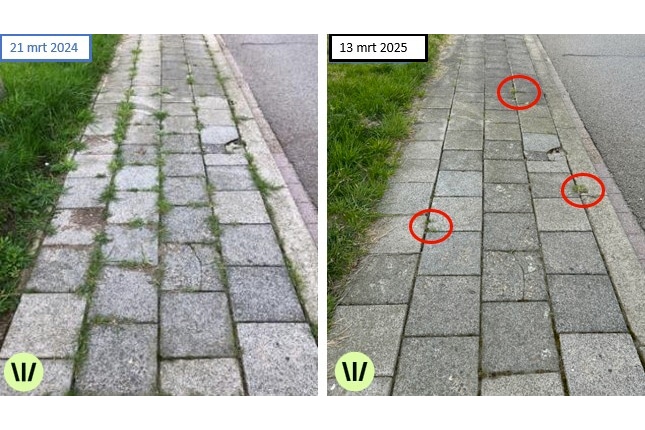 elementverharding na 1 jaar