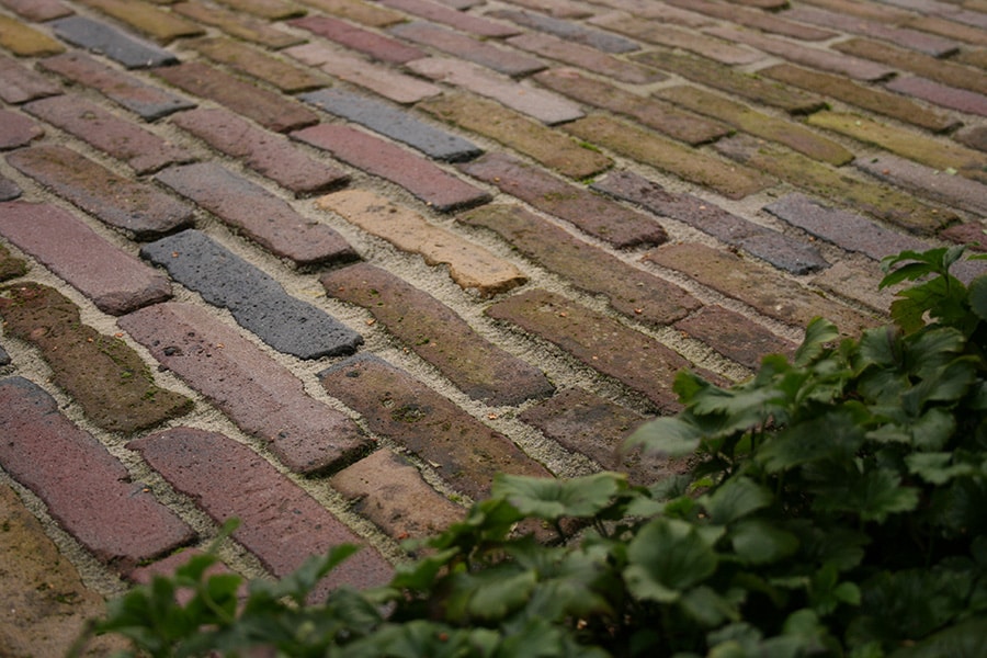 Foto linksboven kopie