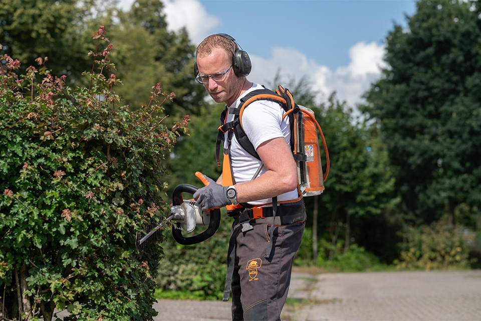 vitale hoveniers Actor BKFF182 kopie