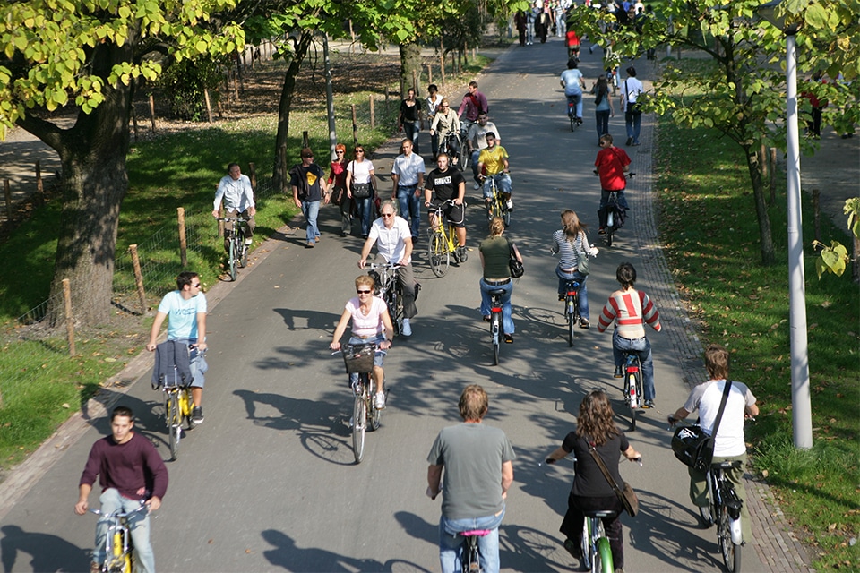 Hoe Amsterdam en Waalwijk hun groenbeheer vernieuwen 2