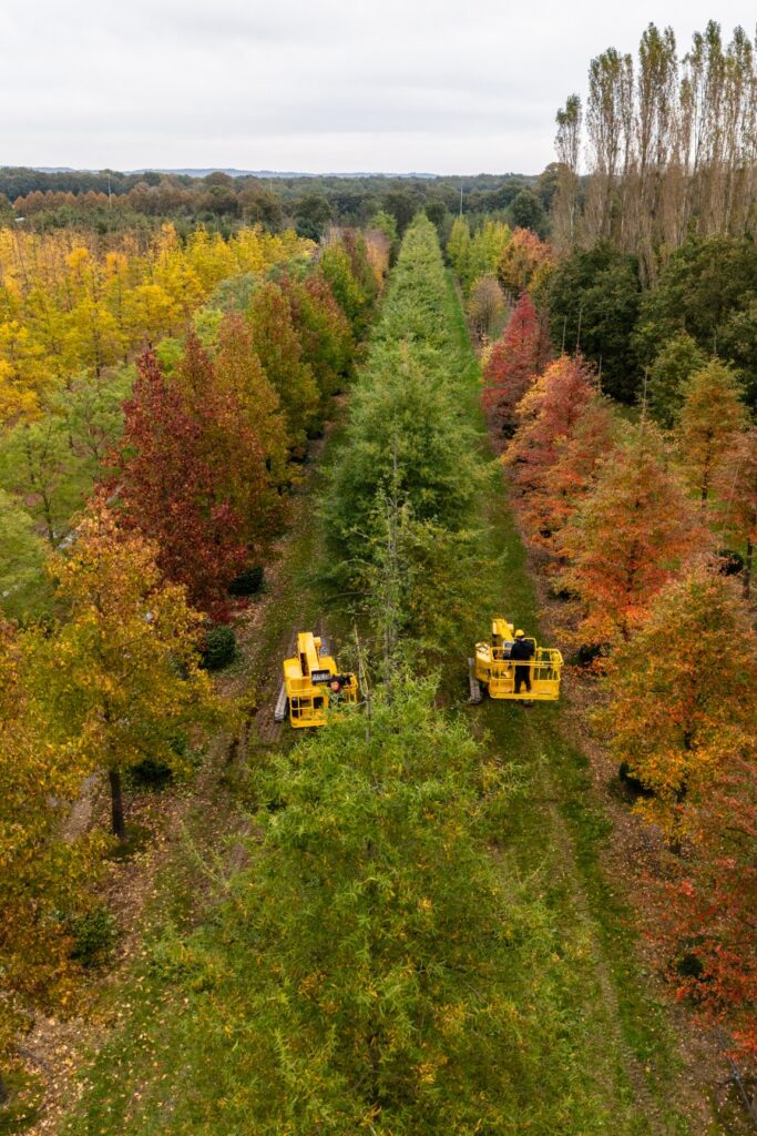 Meesters in de Tuin: inspiratie, kennis en netwerken in één event 5