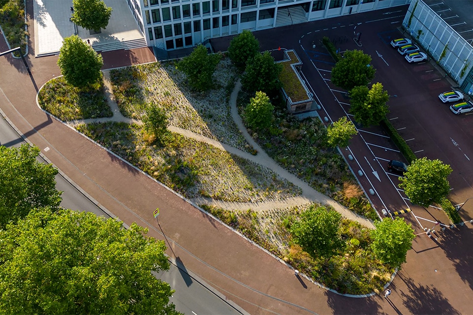 Superbloei in Arnhem. Van experiment naar ecologisch voorbeeldproject 3