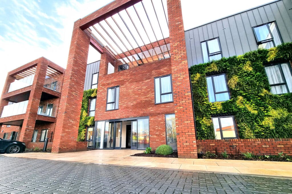 ADEZZ x Greeningup® 2