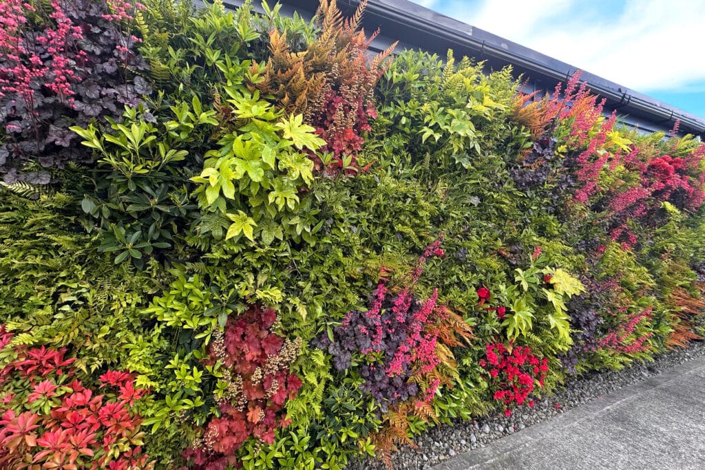 ADEZZ x Greeningup® 3