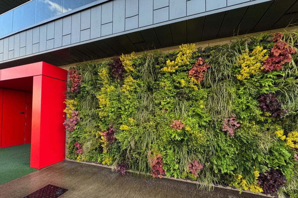 ADEZZ x Greeningup® 5