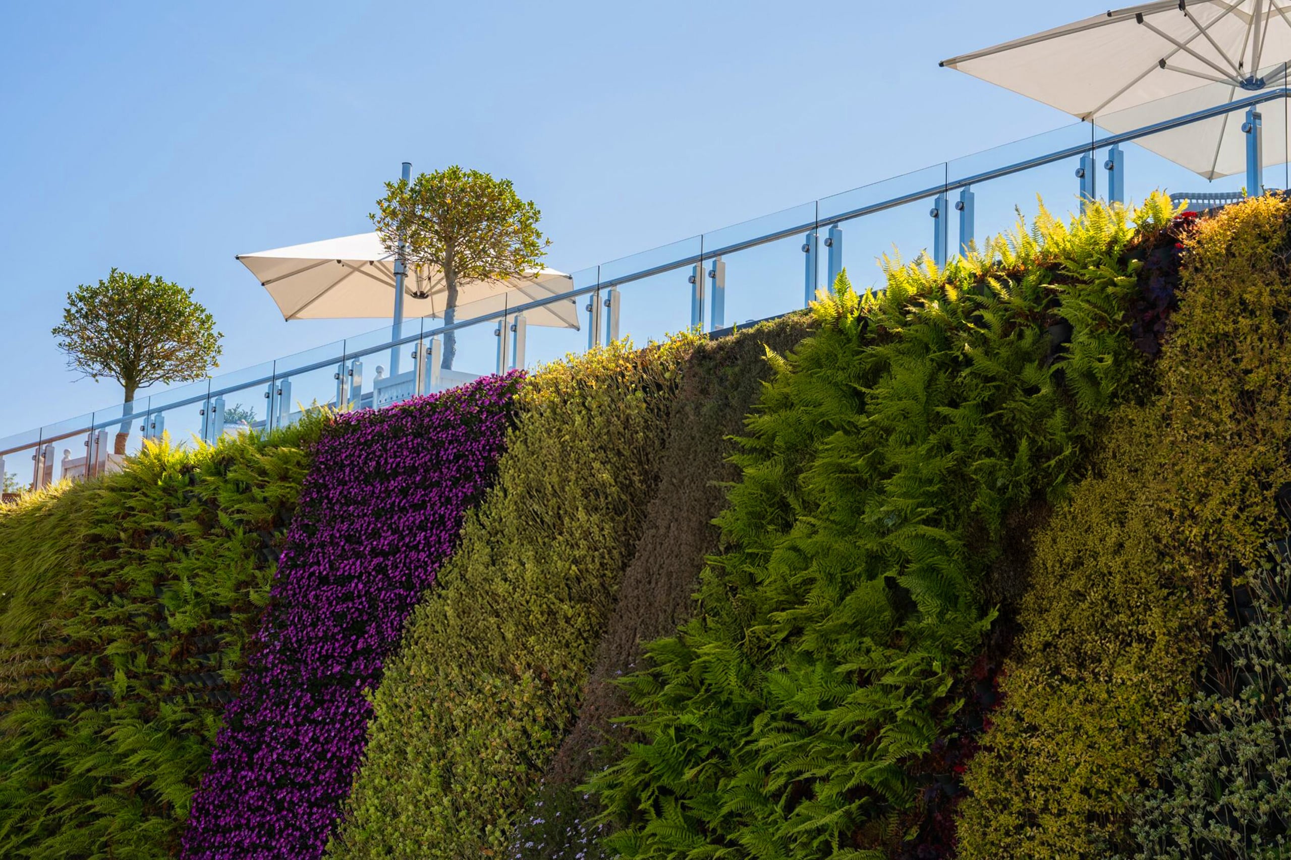 ADEZZ x Greeningup® 3