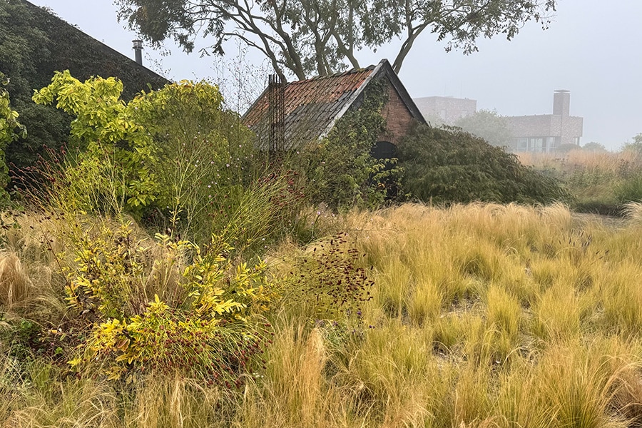 De man die tuinen laat ademen 2