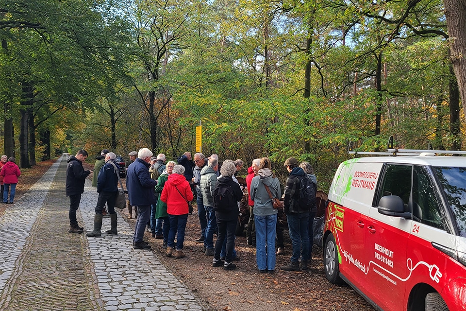 Ervaren boomspecialist biedt volwaardige one-stop-shop voor alle boomprojecten 2