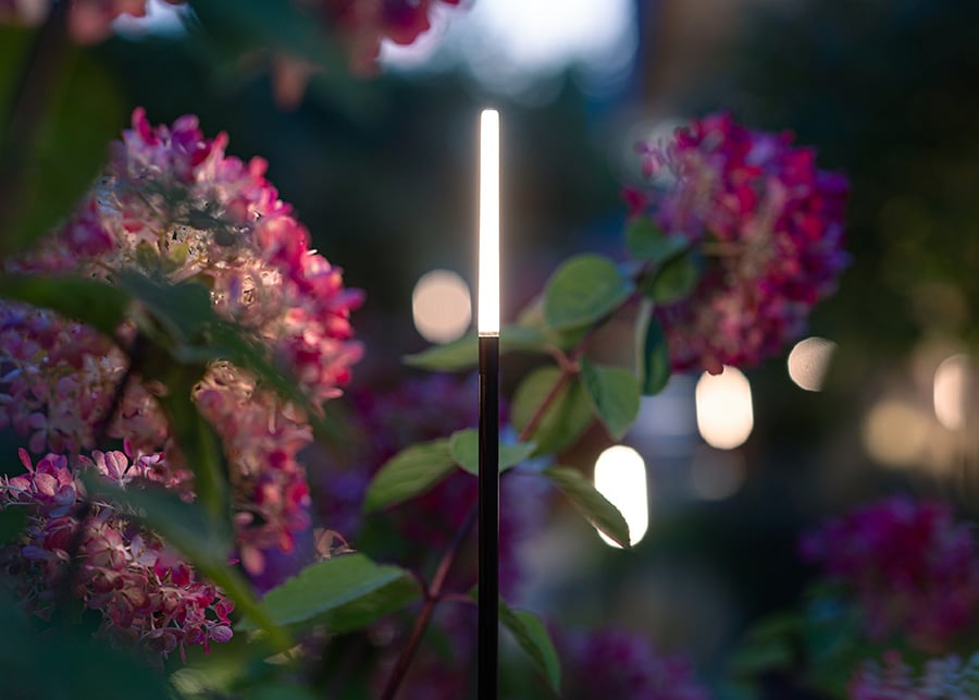 Magie in de tuin met slimme verlichting 1