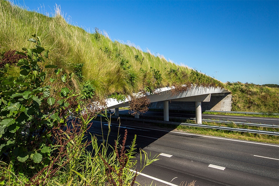 Nieuwe inzichten over de baten van groen in euro’s 5