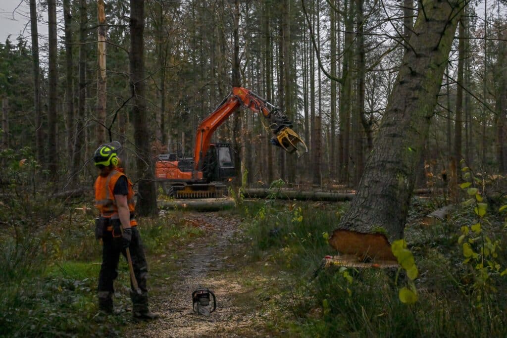 Vacatures bij Boomrooierij Weijtmans 1