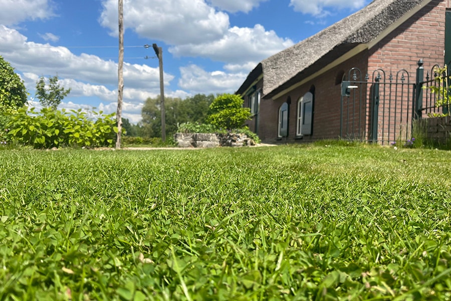 Een duurzaam en frisgroen gazon in elk seizoen 3