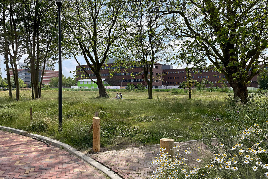 Evelien de Mey zoekt balans tussen regels, mensen en natuur 3