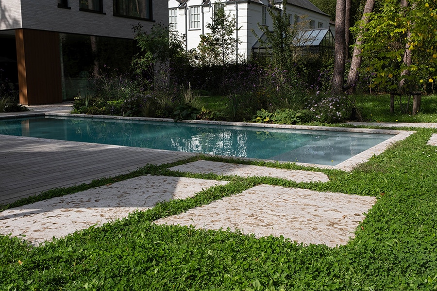 Welkom aan het levend ecosysteem 1