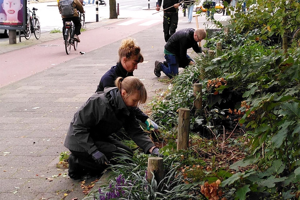 ‘We zijn de plantenkennis kwijtgeraakt’ 3
