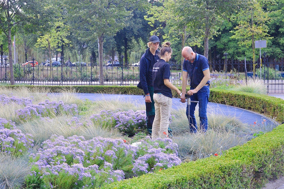 ‘We zijn de plantenkennis kwijtgeraakt’ 4