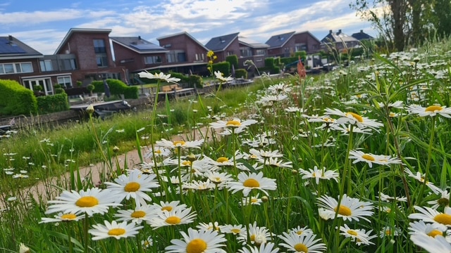 25 jaar HEEM: natuurontwikkeling als blijvende basis voor biodiversiteit 1