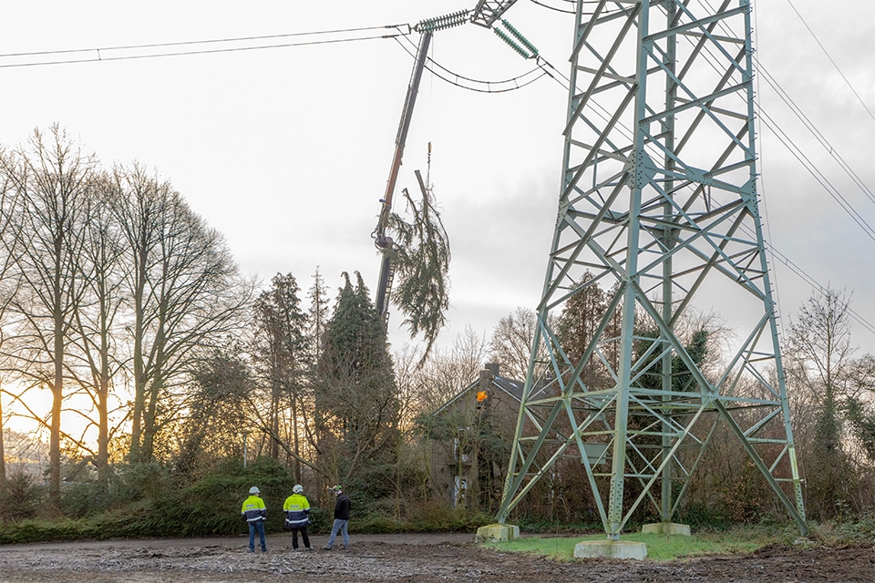Onder hoogspanning krijgt boombeheer een andere lading 1