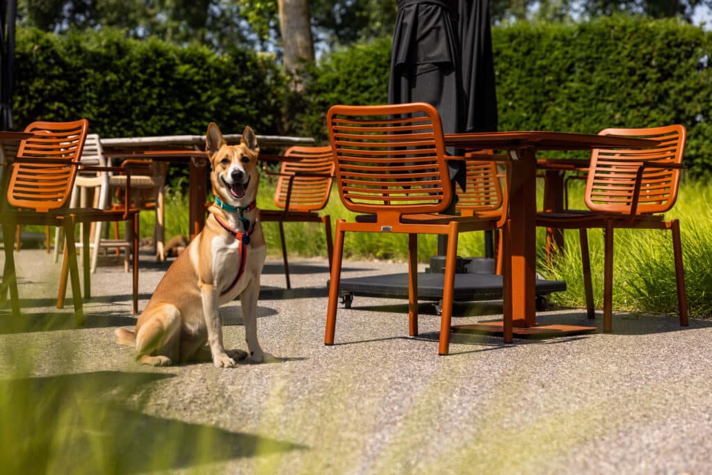 Een tuin die ademt 1