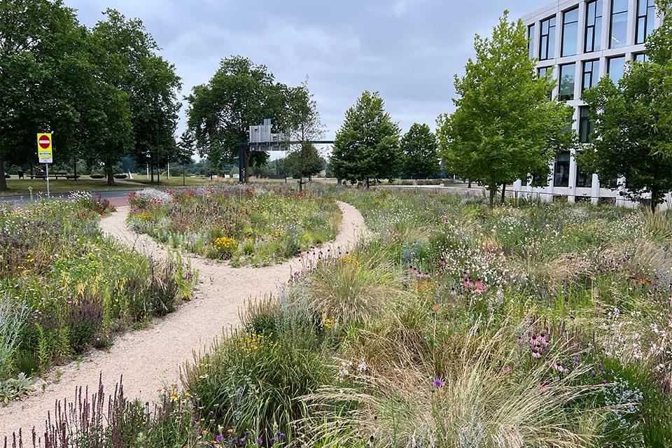 ‘We lijden in Nederland aan natuuramnesie’ 1