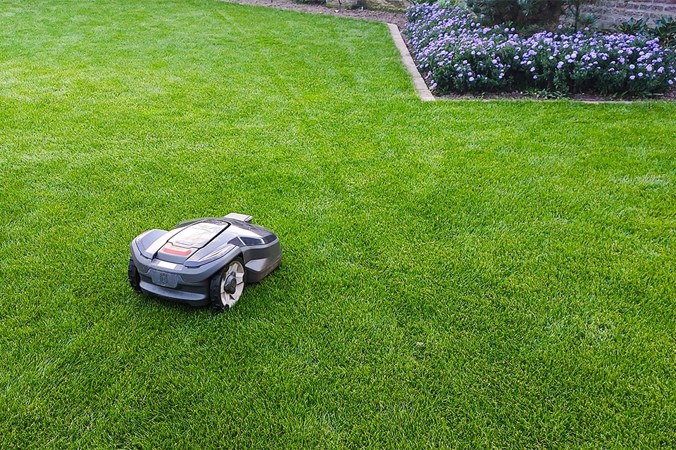 Nieuw grasmengsel voor onderhoudsvriendelijk gazon 1