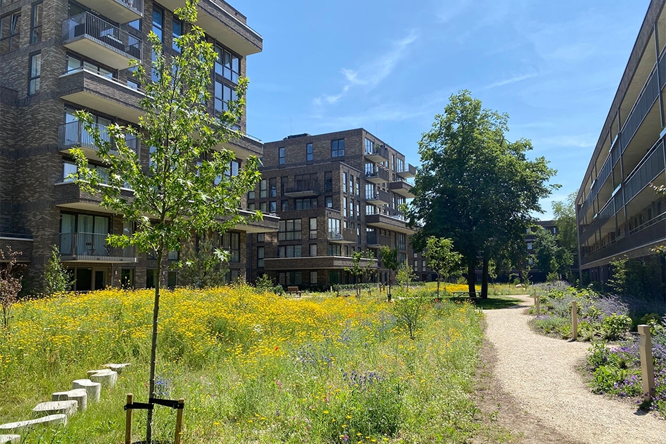 Dudokpark geeft sociale huur een groene binnenwereld 1