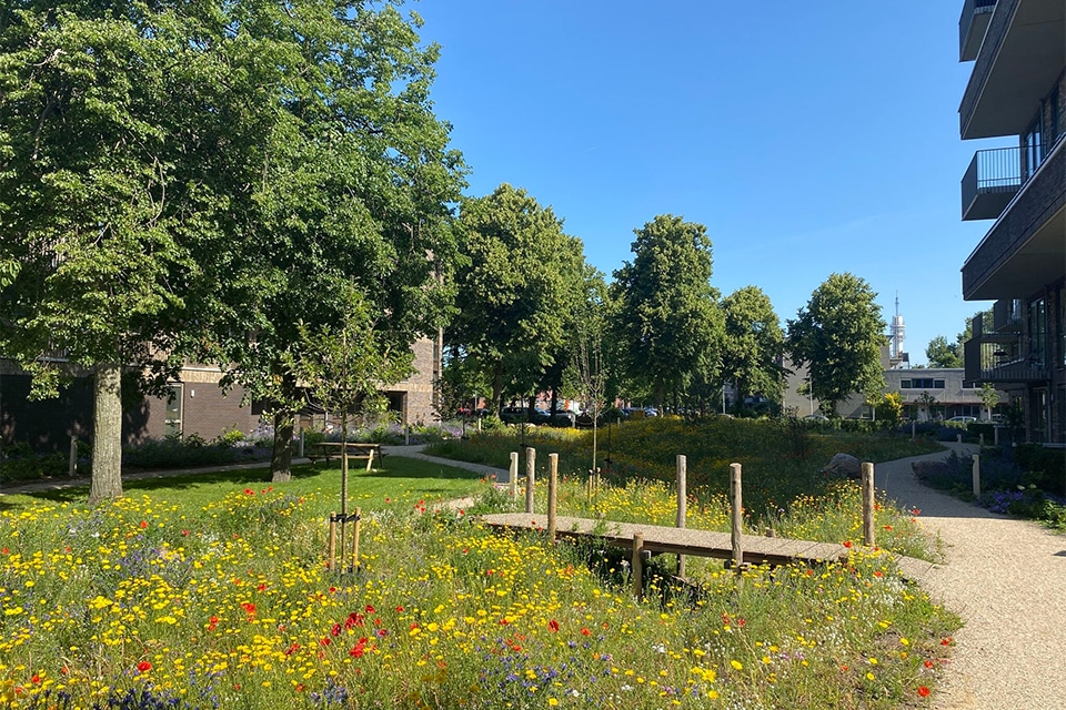 Dudokpark geeft sociale huur een groene binnenwereld 2
