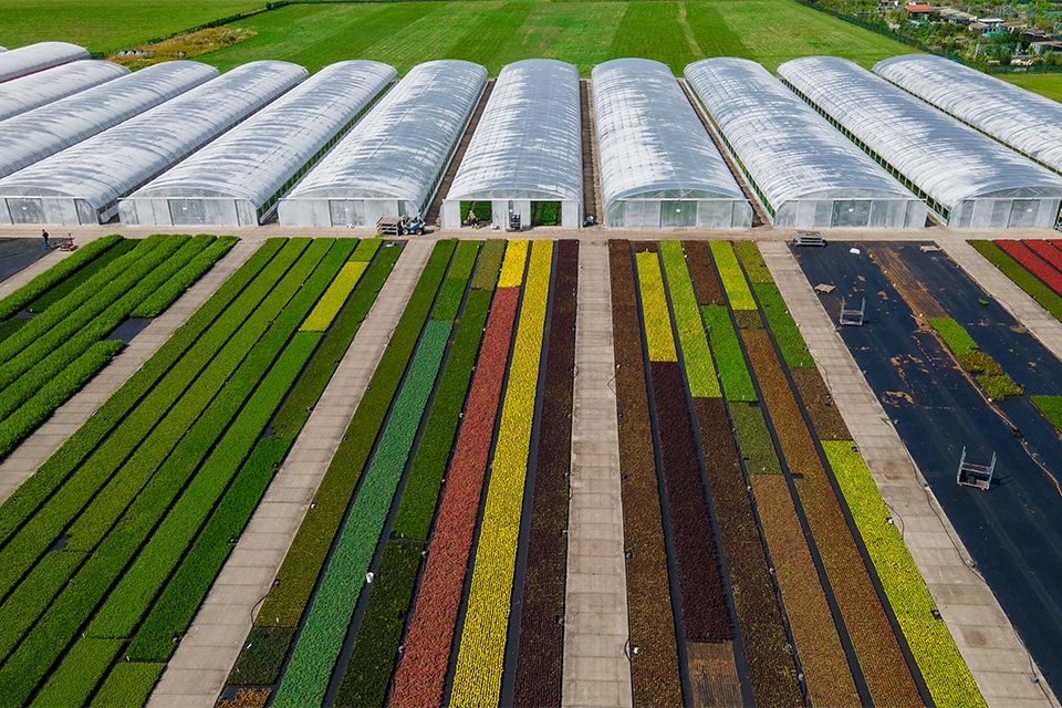 Kwekerij met oog voor planet, people en profit 3