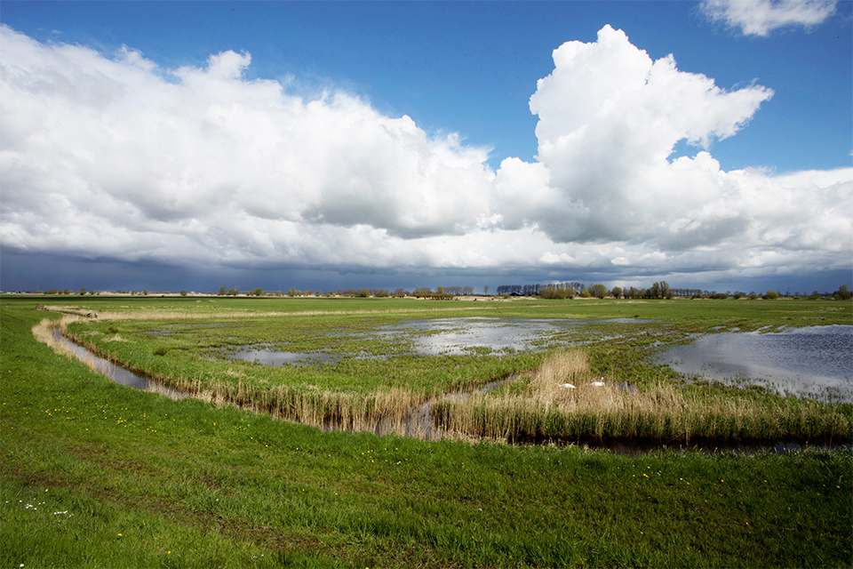 ‘Natuur moet geen sluitpost zijn, maar het uitgangspunt’ 1