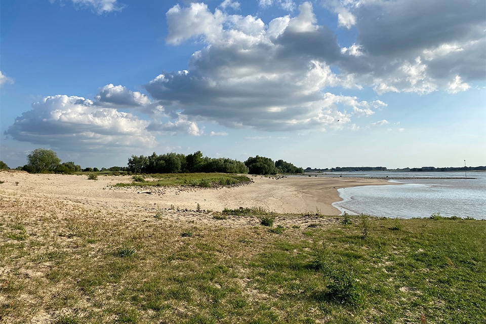 ‘Natuur moet geen sluitpost zijn, maar het uitgangspunt’ 1