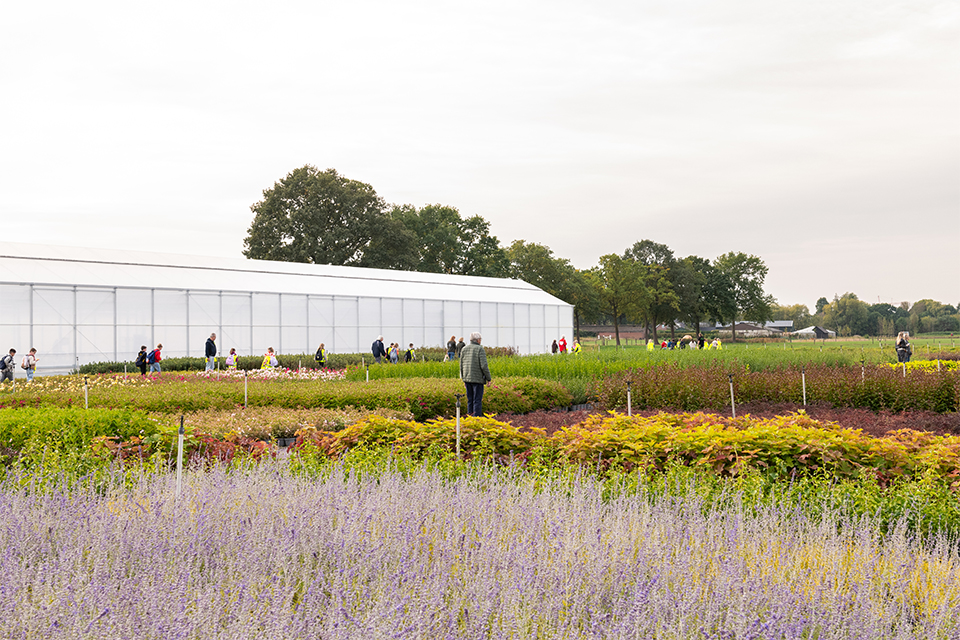 GrootGroenPlus brengt de boomkwekerijsector voor de 36e keer samen 3