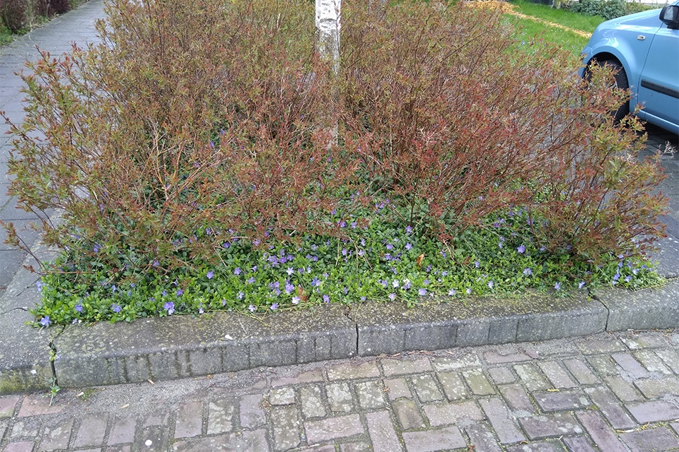 ‘Een stad is geen natuurlijke omgeving’ 2
