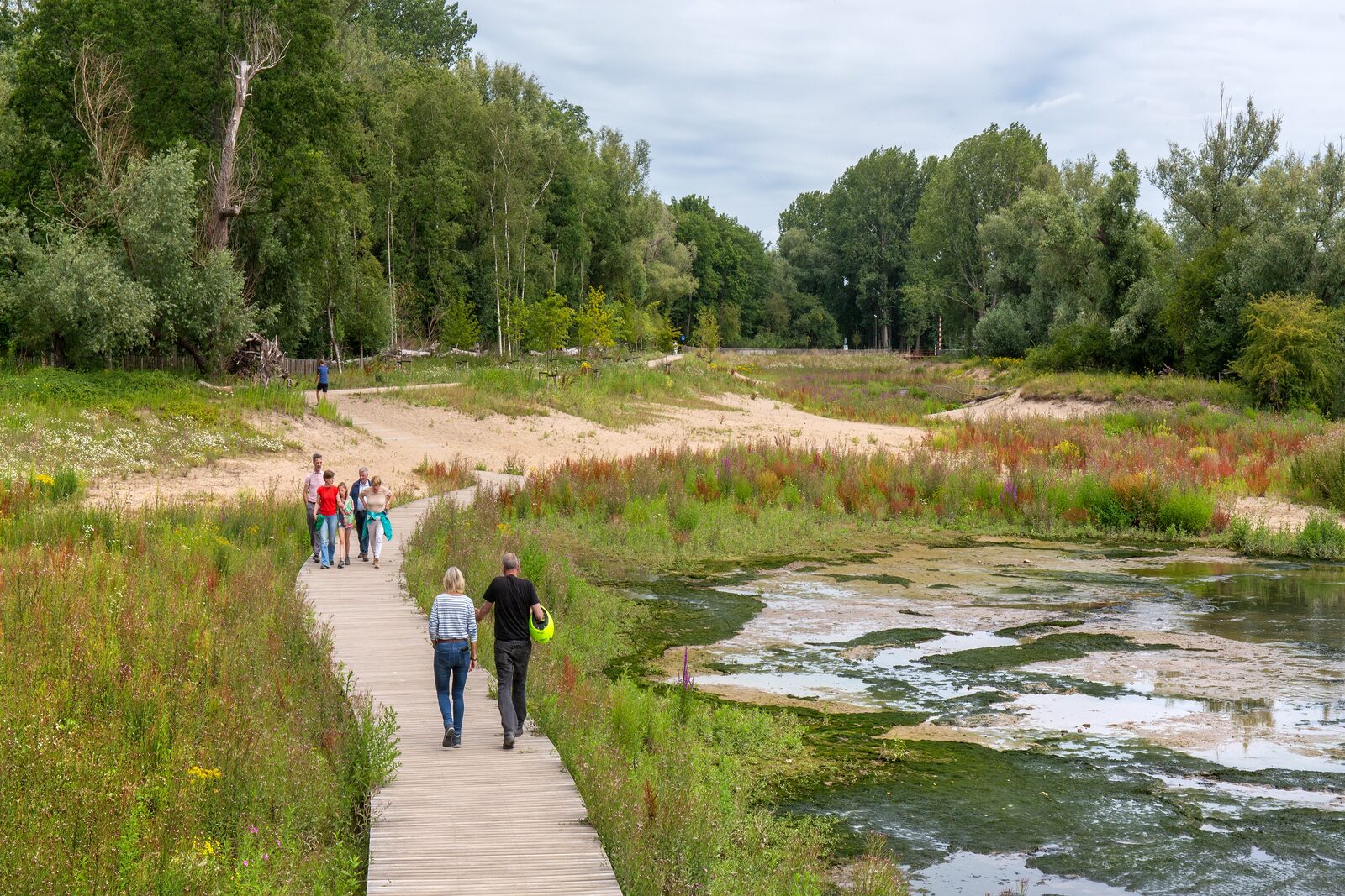 Rotterdam gaat duizend hectare groen en water toevoegen en de biodiversiteitshotspots verbinden