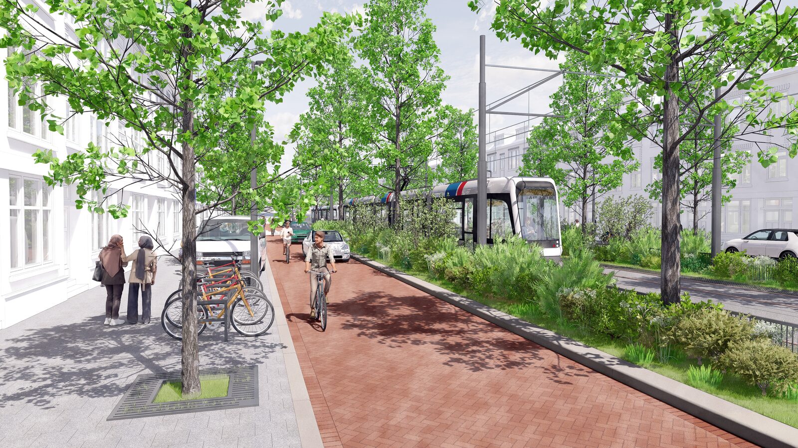 Rotterdam gaat duizend hectare groen en water toevoegen en de biodiversiteitshotspots verbinden 1